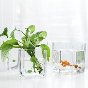 <span class=keywords><strong>Macetas</strong></span> de flores <span class=keywords><strong>cuadradas</strong></span> de cristal, mini plantador de semillas, <span class=keywords><strong>baratas</strong></span> - Product Image 5