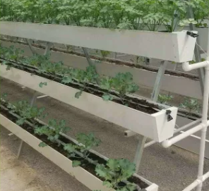 Grande cuvette <span class=keywords><strong>hydroponique</strong></span> de gouttière de PVC NFT pour la <span class=keywords><strong>culture</strong></span> sans sol de <span class=keywords><strong>fraise</strong></span> de plantation <span class=keywords><strong>culture</strong></span> de substrat d'agriculture de serre - Product Image 6