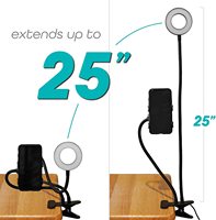 Anneau lumineux universel pour téléphone, avec support à col de cygne de 24 pouces, Kit d'éclairage et de support pour Selfie, influenceur Social, en direct