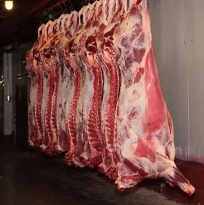 Thiết Bị Abattoir Hoàn Chỉnh Thiết Bị Giết Mổ Thịt Bò 150 Cho Nhà Máy Giết Mổ - Product Image 1