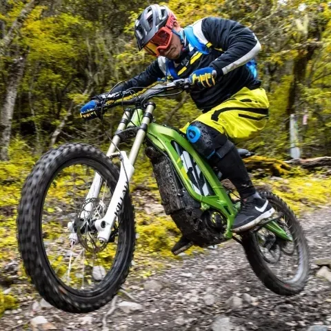 Luz bee sur ron x dirt bike motocicleta elétrica, adulto poderoso mountain bike ebike