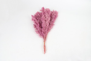 Ramo de flores de helecho <span class=keywords><strong>Ming</strong></span> preservado de alta calidad para ocasiones de decoración del hogar como Pascua Navidad Halloween Back School - Product Image 6