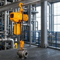 Palans électriques à chaîne industriels pour entrepôts d'usine et applications générales de manutention de charges