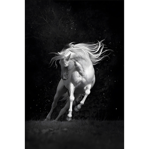 <span class=keywords><strong>Blanc</strong></span> course <span class=keywords><strong>cheval</strong></span> peinture animal luxe mur art pour la maison décoration murale photo impression toile <span class=keywords><strong>et</strong></span> affiches moderne - Product Image 6