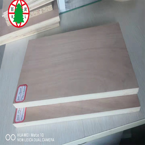 <span class=keywords><strong>Compensato</strong></span> <span class=keywords><strong>marino</strong></span> 6MM legno <span class=keywords><strong>compensato</strong></span> BS1088 - Product Image 5