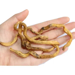 live worms for fishing, live worms for fishing Suppliers and