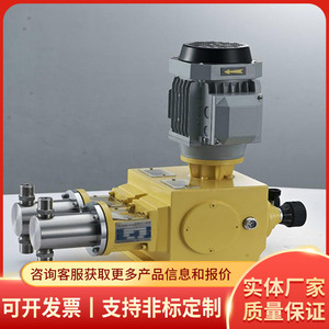 Bomba Dosificadora de Pistón J-Z 60L H20M con Cuerpo de Acero Eléctrico para Equipos Químicos - Product Image 4
