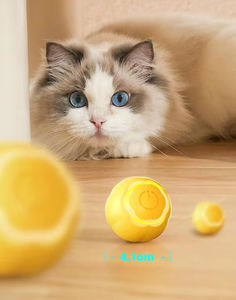 Jouet balle automatique <span class=keywords><strong>pour</strong></span> chat à la mode interactif en plastique et silicone jouets <span class=keywords><strong>pour</strong></span> animaux de compagnie <span class=keywords><strong>pour</strong></span> <span class=keywords><strong>chats</strong></span> et chiens personnalisable marque privée - Product Image 5