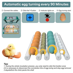 Capacité <span class=keywords><strong>de</strong></span> vente chaude classique 120 incubateurs d'œufs <span class=keywords><strong>de</strong></span> poule dans une machine à couver avec 5 modes d'<span class=keywords><strong>incubation</strong></span> pour la volaille - Product Image 3
