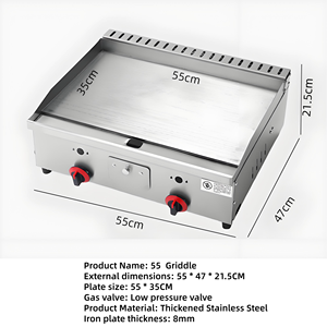 Kommerzieller Tragbarer Tischgrill mit 2 Brennern Kleiner Gas-BBQ-Grill für Outdoor-Camping Gasgrillplatte für Reisen - Product Image 5