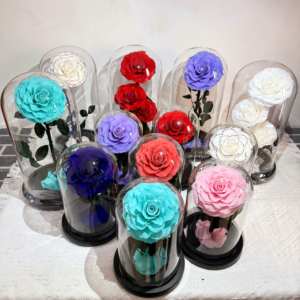 Regali di San Valentino 2025: <span class=keywords><strong>Rose</strong></span> Stabilizzate con Luci in Cupola di Vetro per Regali di Natale - Product Image 5