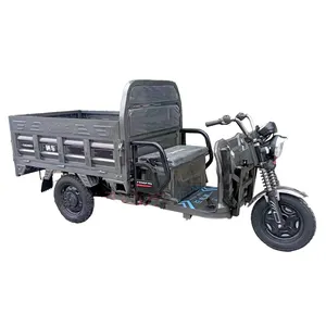 Triciclo eléctrico de transporte de carga de alta potencia de 1000W otros triciclos capacidad de carga de 500GK
