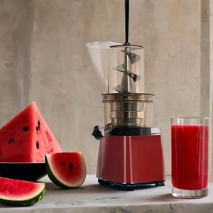 Máquina extractora de exprimidor lento de frutas y verduras, modelo de acero inoxidable para el hogar comercial de alta calidad de 500W - Product Image 1