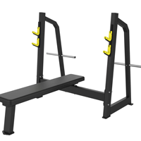 Équipement de fitness commercial MMD, banc d'extension abdominal et dorsal horizontal réglable, chaise romaine, équipement de fitness