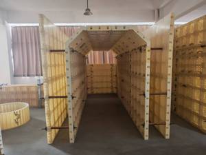 Système de Coffrage Réutilisable en Plastique ABS pour Mur en Béton, Poteau et Fondation | Panneaux de Construction Légers et Durables pour Plus de 100 Utilisations - Product Image 4