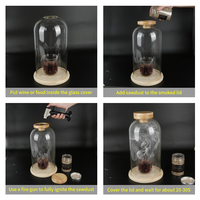 Couvercle dôme en verre fumé pour infuseur, kit d'infusion fumée pour aliments et whisky, accessoires pour bar à domicile et bar de fête
