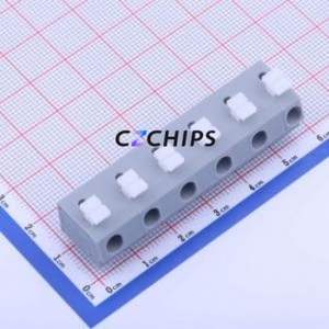 KF202-10.0-6P Spring Terminal Block Through hole Component (THT),P=10mm Connector 1x6P 10mm Gray 6P - Product Image 1