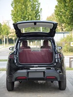 Voiture électrique à 4 roues certifiée EEC L6e, mini-voiture électrique légale 45 km/h pour adultes