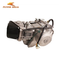 Moteur Daytona Anima 190 à Démarrage Électrique 4 Soupapes 4 Temps DT190cc pour Moto Cross Chinoise Échantillon Disponible