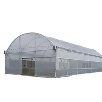 Serre Agricole Dédiée Monochapelle pour Tomates et Fraises en Film Plastique PE