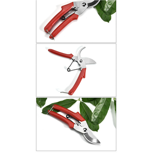กรรไกรตัดแต่งกิ่งผลไม้สแตนเลส พร้อมตัวล็อคเพื่อความปลอดภัย - Product Image 3