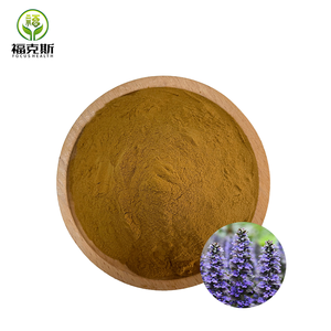 トルケスタニカエキストルケスタニカパウダー100% 天然 - Product Image 2