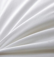 Draps de lit professionnels pour hôtel, 300 fils, coton, tissage uni, drap plat personnalisable
