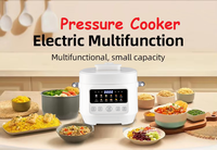 Olla a presión eléctrica Olla caliente 4L con 12 en 1 Programas de cocina 1300W Panel de control colorido multifunción Pantalla LCD