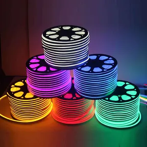 High Efficiency SMD2835 Rainbow RGB 220V Outdoor IP65 Waterproof Led Flex Neon Rope Light