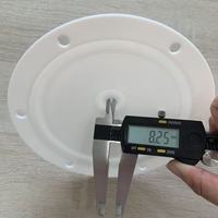 Compatible avec le diaphragme en PTFE de 1/2 pouce Blagdon G15-033 pour la pompe à double diaphragme pneumatique B15 X15 pour les services incendie YYH