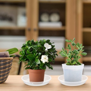 Piattini per piante trasparenti bianchi all'ingrosso vassoi per <span class=keywords><strong>vasi</strong></span> da fiori vassoi per gocciolamento piattino per piante in plastica - Product Image 6