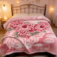 Couverture en molleton Raschel Minky ultra douce et portable, taille Queen, 6 kg, pour l'hiver, idéale pour dormir
