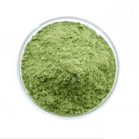 Poudre de jus d'herbe d'orge naturelle en stock d'usine, extrait végétal de haute qualité, marque Core Pure, conditionnement en fût de 25 kg