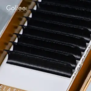 Gollee Guangzhou Ekstensi Bulu Mata Panas, Produsen Ekstensi Bulu Mata Kipas Otomatis Set Kipas Cepat Ekstensi Bulu Mata