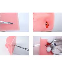Cabeza de Modelo de Silicona para Práctica Oftalmológica, Entrenamiento de Habilidades y Simulación de Operaciones
