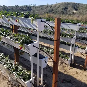 אנכי PVC שוקת הידרופוני תות גדל מערכות