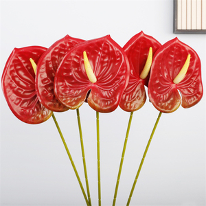 Hot-bán <span class=keywords><strong>anthurium</strong></span> hoa nhân tạo cảm ứng thực sự trang trí đám cưới nhựa hoa <span class=keywords><strong>anthurium</strong></span> Đỏ trắng xanh <span class=keywords><strong>anthurium</strong></span> cho trang trí nội thất - Product Image 5