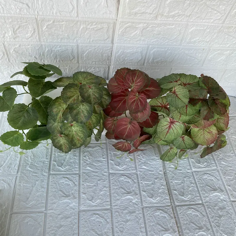 Small potted begonia fern green plant festival decoration home simulation vine leaf wall fittings