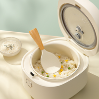 Cuillère de cuisine antiadhésive en silicone avec manche en bois, colorée, pour cuisson du riz, outils de pâtisserie, compatible lave-vaisselle, best-seller