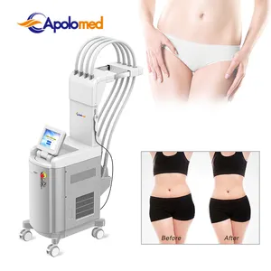 Medical CE and US 510K 1060nm diode laser slimming machine body sculpting laser body shaping machine Weight Loss Slimming