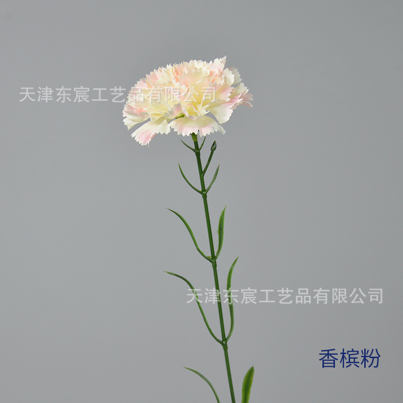 Rose champagne