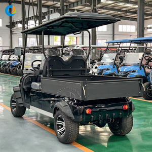 Robetaa 2026 Véhicule de golf électrique de luxe 2 places homologué route avec batterie lithium 72V 105Ah certifiée CE et benne de chargement – Offre Spéciale - Product Image 6