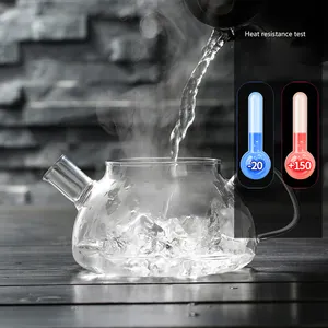 Tea Kettle And Tea Pot Maker Glass Teapot With Removable Loose Tea Infuser Stovetop Safe Glass Teapot