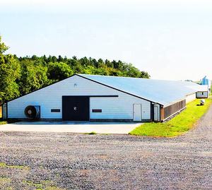 XGZ ผู้จัดจำหน่ายจากจีน โรงเรือนเลี้ยงไก่โครงสร้างเหล็ก อุปกรณ์ฟาร์มสัตว์ปีก ราคา - Product Image 4