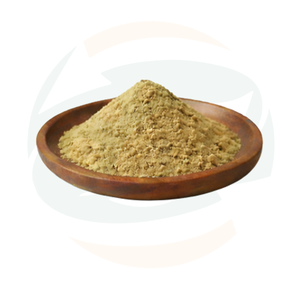 ผงสกัดเมล็ดเกรนออฟพาราไดซ์ (Aframomum Melegueta) คุณภาพสูงจากธรรมชาติ ตัวอย่างฟรี CAS 90320-21-<span class=keywords><strong>1</strong></span> มีสินค้าจำนวนมากในสต็อก - Product Image 2