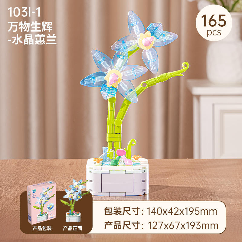 Cymbidium goeringii 103I-1