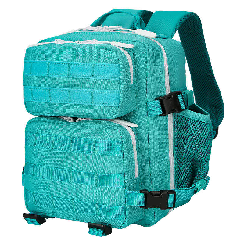 สีฟ้าทะเลสาบ