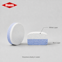 RHONDA 90% TCCA – Nettoyant granulaire en poudre anti-corrosion pour l'eau des piscines et spas extérieurs