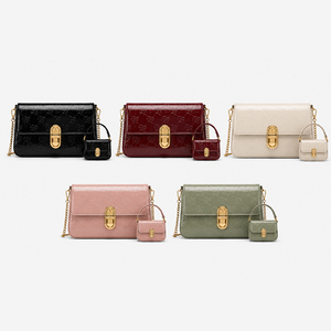 Women PU Leather Crossbody Bag Flap Shoulder Handbag with Chain Strap <b>Mini</b> Coin <b>Pouch</b> Casual Daily Fashion Purse OEM ODM - Product Image 6