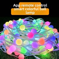 Guirlande lumineuse LED RGB intelligente USB à commande ponctuelle, en cuir, avec télécommande via application, étanche IP65, pour décoration, vente en gros fabricant